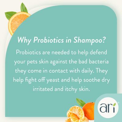 ARI Probiotic 2-in-1 Conditioning Dog Shampoo, 16-fl oz bottle