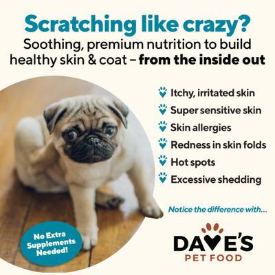 Skin & Coat Support Chicken & Sweet Potato Recipe Pate Wet Canned Dog Food, 13.2-oz can, case of 12