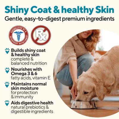 Skin & Coat Support Chicken & Sweet Potato Recipe Pate Wet Canned Dog Food, 13.2-oz can, case of 12