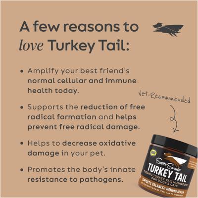 Turkey Tail Powder Immune Supplement for Dogs & Cats, 5.29-oz jar