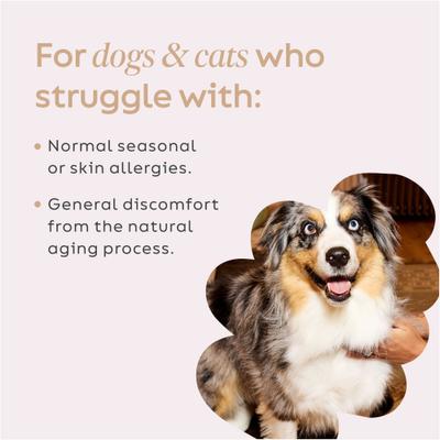 Turkey Tail Powder Immune Supplement for Dogs & Cats, 5.29-oz jar