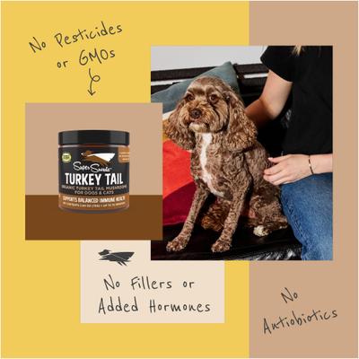 Turkey Tail Powder Immune Supplement for Dogs & Cats, 5.29-oz jar