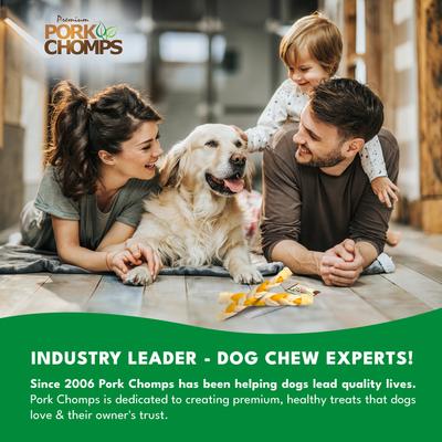 10-inch Braid Roasted Pork Skin & Peanut Butter Flavor Hard Dog Chew Treats