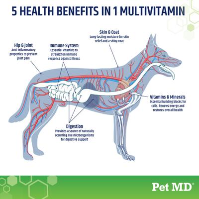 5-in-1 Multivitamin Chews Dog Supplement, 120 count