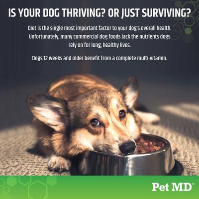 5-in-1 Multivitamin Chews Dog Supplement, 120 count