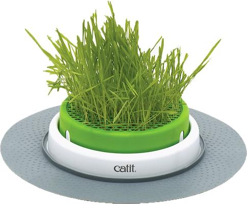 Senses 2.0 Cat Grass Planter