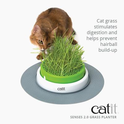 Senses 2.0 Cat Grass Planter