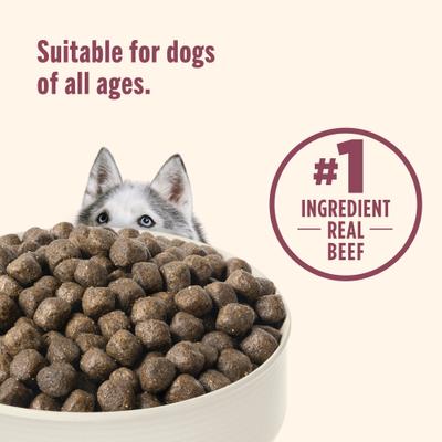 High Protein Beef, Potato & Peas Recipe with Venison & Lamb Dry Dog Food, 4-lb bag (Rachael Ray)
