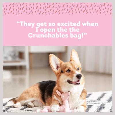 5-in Beef Crunchables Dog Treat, 6 count