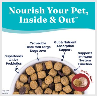 Large Breed Gut Health Real Bison & Brown Rice Whole Grain Dry Dog Food, 22-lb bag