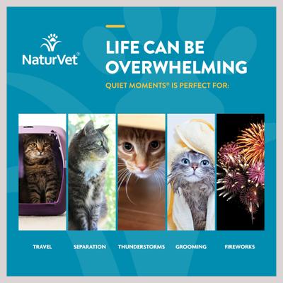 NaturVet, Scoopables Quiet Moments, bocados calmantes sabor salmón para gatos, bolsa de 156 g