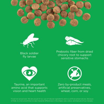 Sensitivities Limited Ingredient Grain-Free Insect Recipe Dry Dog Food, 3.5-lb bag