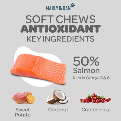 Healthy & Functional Salmon Dog Treats with Sweet Potato & Cranberries, Antioxidant Recipe, 6-oz bag