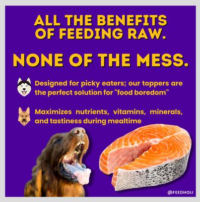 Wild Caught Salmon Protein Pack Grain-Free Freeze-Dried Dog Food Topper, 1.75-oz bag