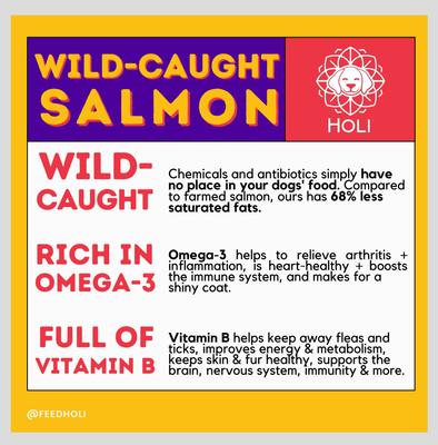 Wild Caught Salmon Protein Pack Grain-Free Freeze-Dried Dog Food Topper, 1.75-oz bag