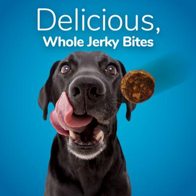 Whole Jerky Bites Turkey & Sweet Potato Dog Treats, 5-oz bag