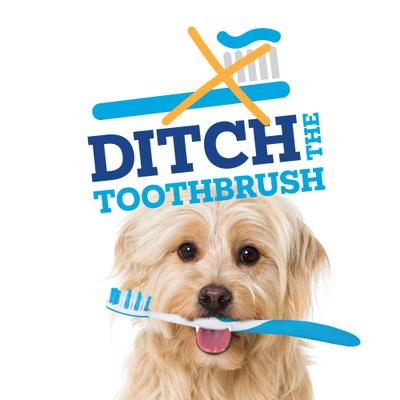 Best Brush Free Dental Toothpaste Sticks for Small Dogs, 10-oz