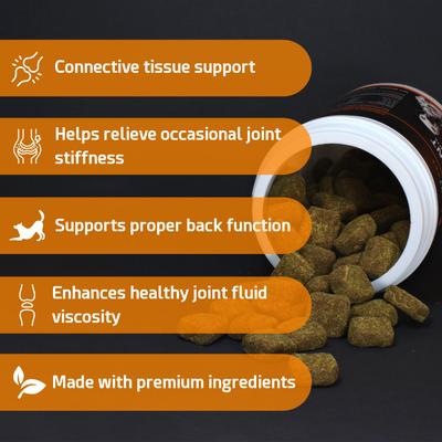 Glucosamine Peanut Butter & Pumpkin Flavored Hip & Joint Support Soft Chews Dog Supplement, 120 count
