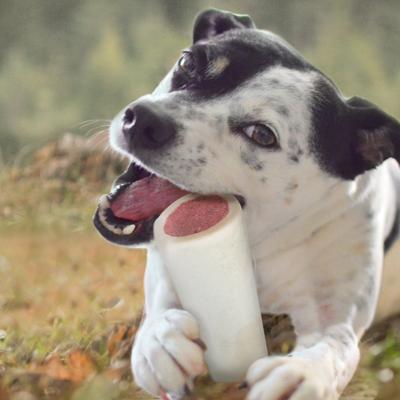 Stuffed Shin Bones Beef Flavor Dog Bones, Large