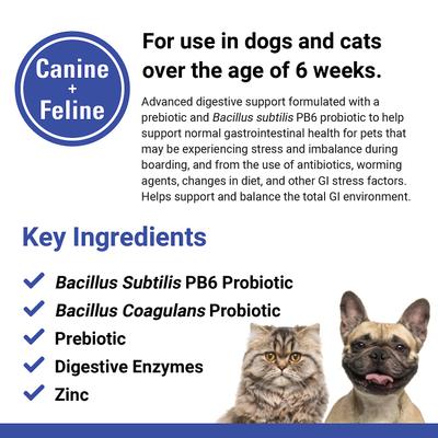 Protegrity GI Probiotics Soft Chews Dog & Cat Supplement, 45 count