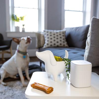 Pawzz Home Dog Sound Machine, White