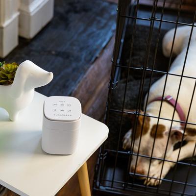 Pawzz Home Dog Sound Machine, White