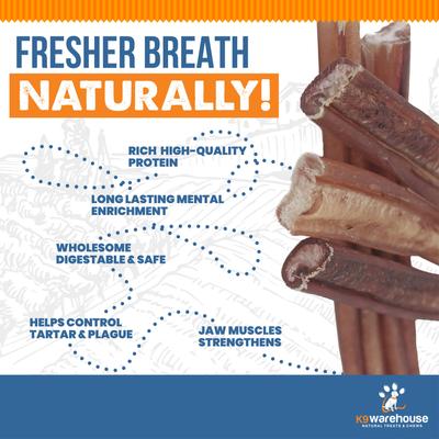 Monster 12-inch Bully Sticks Dog Treats, 3 count