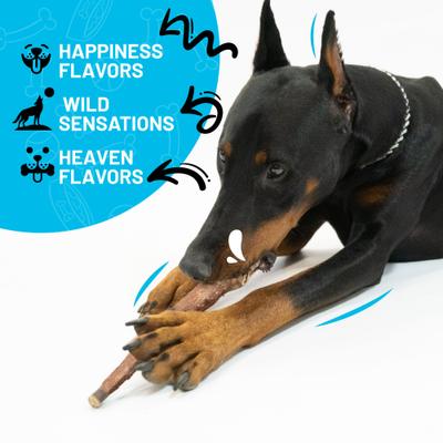 12-inch Collagen Chicken Flavor Dog Natural Chew Treats, 3 count