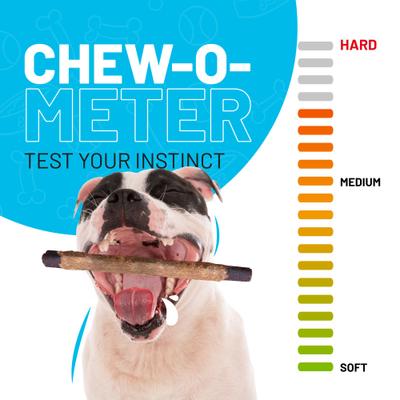 12-inch Collagen Chicken Flavor Dog Natural Chew Treats, 3 count