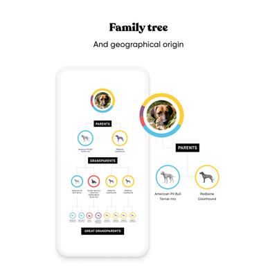 Breed Identification Dog DNA Test Kit