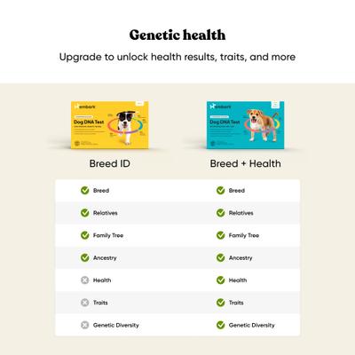 Breed Identification Dog DNA Test Kit