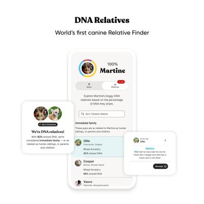 Breed Identification Dog DNA Test Kit