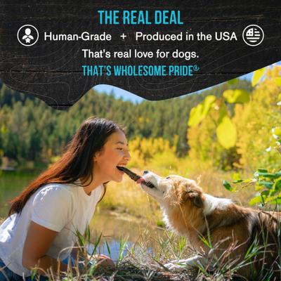 Smoked Salmon Skins Grain-Free dehydrated Dog Treats, 4-oz bag