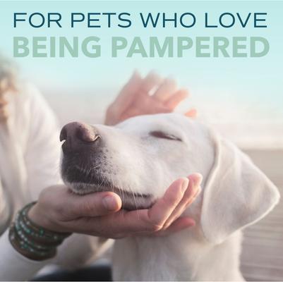 Spa Lavish Fresh Oatmeal Dog & Cat Shampoo, Refreshing Cucumber Scent, 16-fl oz bottle