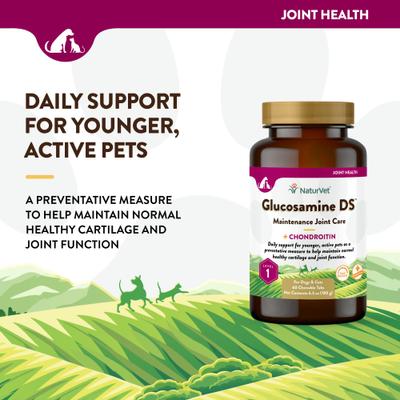 NaturVet, Maintenance Joint Care Glucosamine DS, glucosamina, condroitina y omegas para articulaciones de perros y gatos, tabletas y masticables, 60–240 unidades