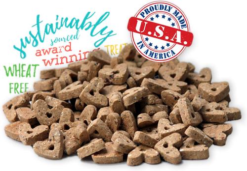 Wheat-Free Pumpkin Time Real Pumpkin, Cinnamon & Chia Natural Oven Baked Dog Treats, 8-oz bag