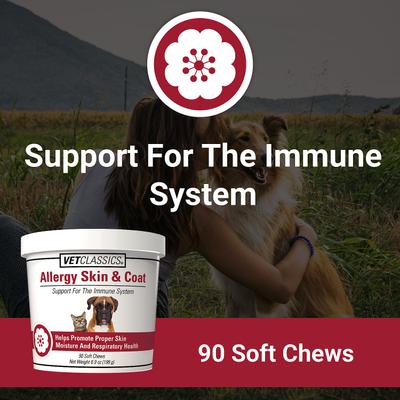Allergy Skin & Coat Soft Chews Dog & Cat Supplement, 90 count