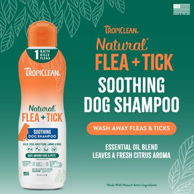 Plus Soothing Natural Flea & Tick Treatment Dog Shampoo, 20-fl oz bottle