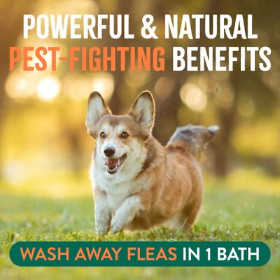 Plus Soothing Natural Flea & Tick Treatment Dog Shampoo, 20-fl oz bottle