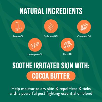 Plus Soothing Natural Flea & Tick Treatment Dog Shampoo, 20-fl oz bottle