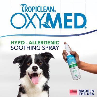 OxyMed Hypoallergenic Gentle Itchy Skin Relief Dog & Cat Spray, 8-fl oz bottle