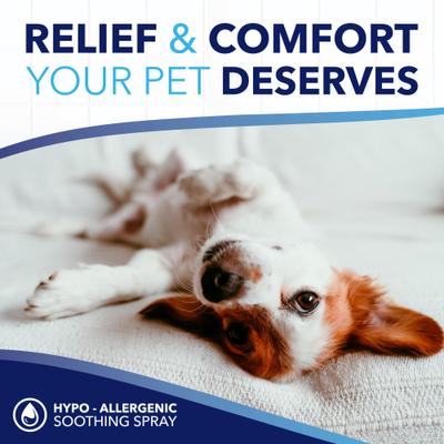 OxyMed Hypoallergenic Gentle Itchy Skin Relief Dog & Cat Spray, 8-fl oz bottle