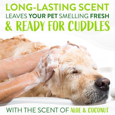 Bundle: TropiClean Deodorizing Aloe & Coconut Shampoo, 20-fl oz bottle + Lime & Coconut Deodorizing Dog & Cat Spray, 8-fl oz bottle