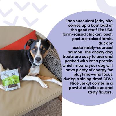 Nice Jerky Bites Beef and Lamb Grain-Free Dog Treats, 4-oz bag