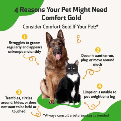 Comfort GOLD for Occasional Discomfort for Cats & Dogs, 2-oz bottle