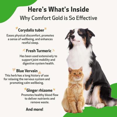 Comfort GOLD for Occasional Discomfort for Cats & Dogs, 2-oz bottle