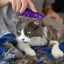 Cat ZoomGroom Multi-Use Brush