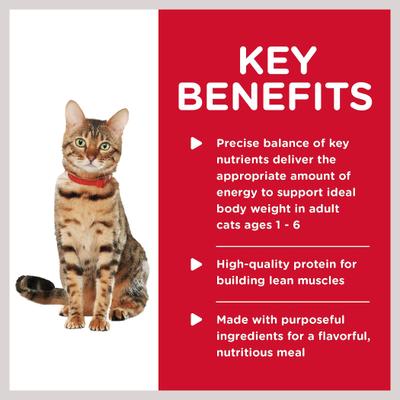 Adult Healthy Cuisine Poached Salmon & Spinach Medley Wet Cat Food, 2.8-oz can, case of 24