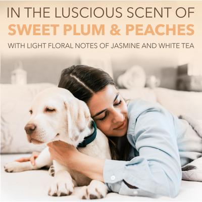 Colonia en aerosol para perros Spa Renew, delicioso aroma a ciruela dulce y melocotón, botella de 236 ml