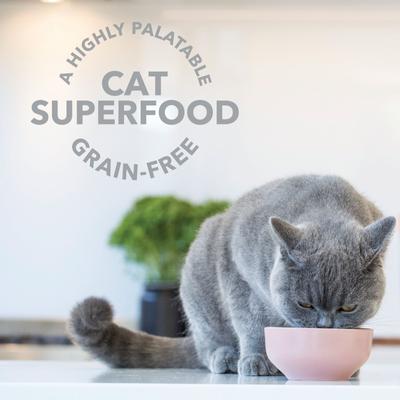 Booster Lamb Green Tripe Freeze-Dried Cat Food Topper, 2-oz bag